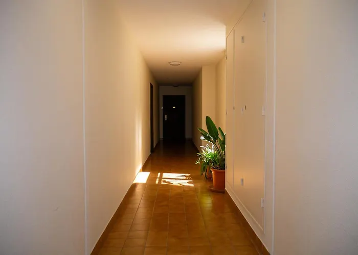 Apartman Vue Sur La Saone *